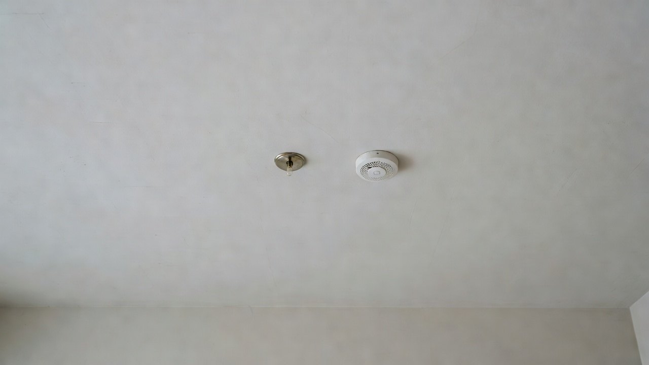 消防:花灑、煙感、喉轆 — 單位內能動嗎 · 圖1